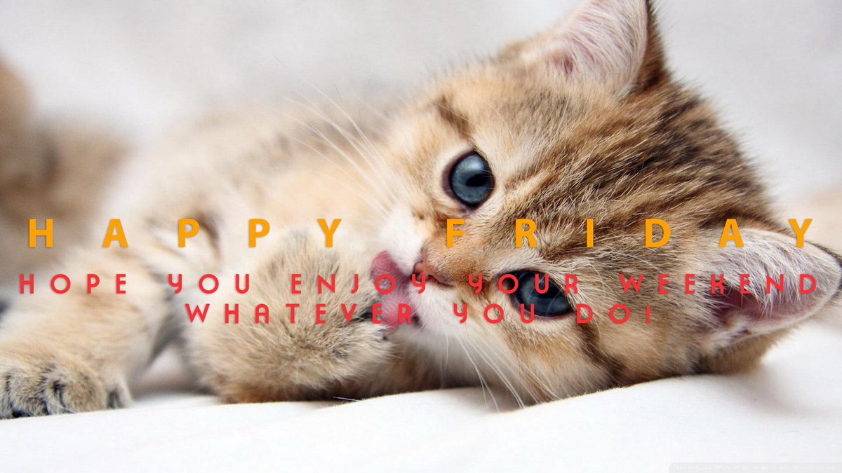 SCW30067's tweet photo. Happy Friday!

#feelingfriday #friday #weekendready https://t.co/LmT5AwaUQ4