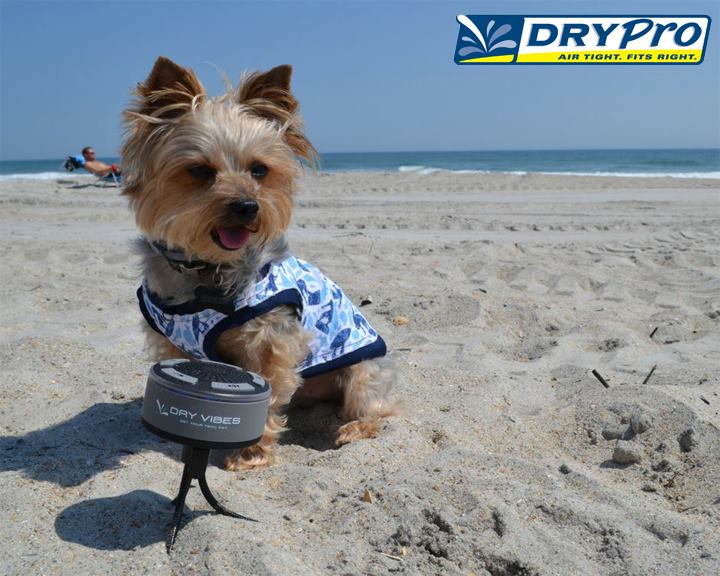 DRYProUSA's tweet photo. Give your pups a treat for #NationalPuppyDay #DRYPro #DryCASE #dogsoftwitter https://t.co/gaUd7FsveN