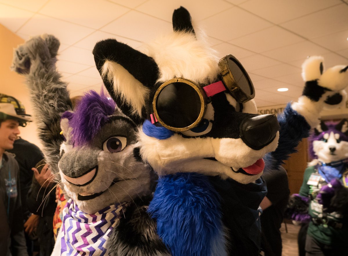 Reyathae's tweet photo. floofin' about with @LaetansX at #ANE17 :3 #FursuitFriday
📷: @Snow_Taiga https://t.co/teWmgdVKeT