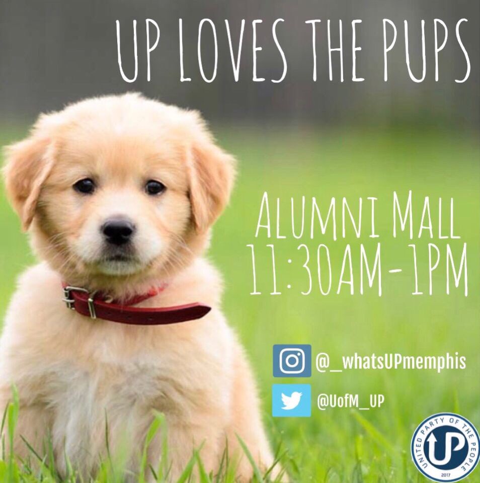 UofM_UP's tweet photo. Come out and enjoy today with the UP Party by playing with the pups.!!! 😍🐶💙 https://t.co/4sa6lnEJ1m