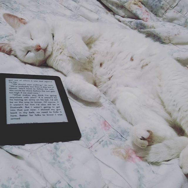 Our plans all weekend... 💤 #PrimePet