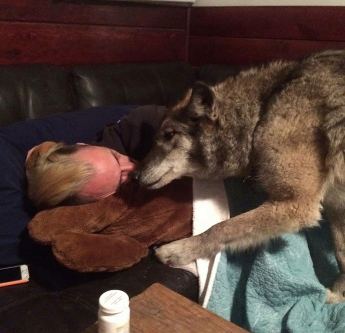 Sleep over. #protectourwolves