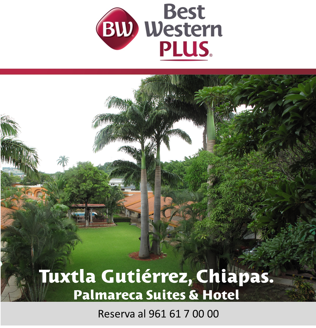 PalmarecaHotel's tweet photo. #FelizViernes Enfócate en las cosas positivas y deja ir las negativas #BWPlusPalmareca https://t.co/QBhAW8eisJ