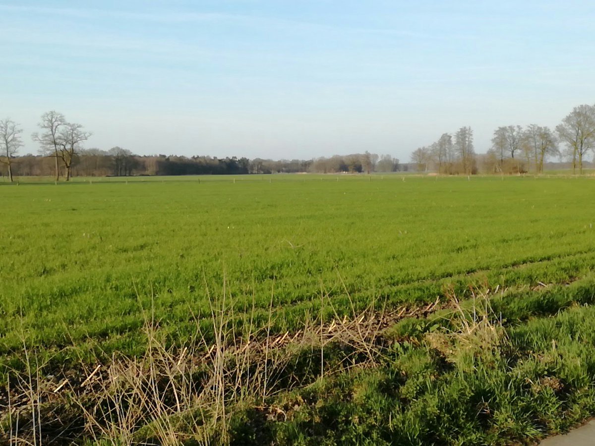 KristienRaeij's tweet photo. Wie wil er nu niet zó naar huis fietsen na het werk?! Jij wél? Check de vaca's bij @tgroep! #bejobs #weleenwindjehoor! https://t.co/7H2nw4DYow