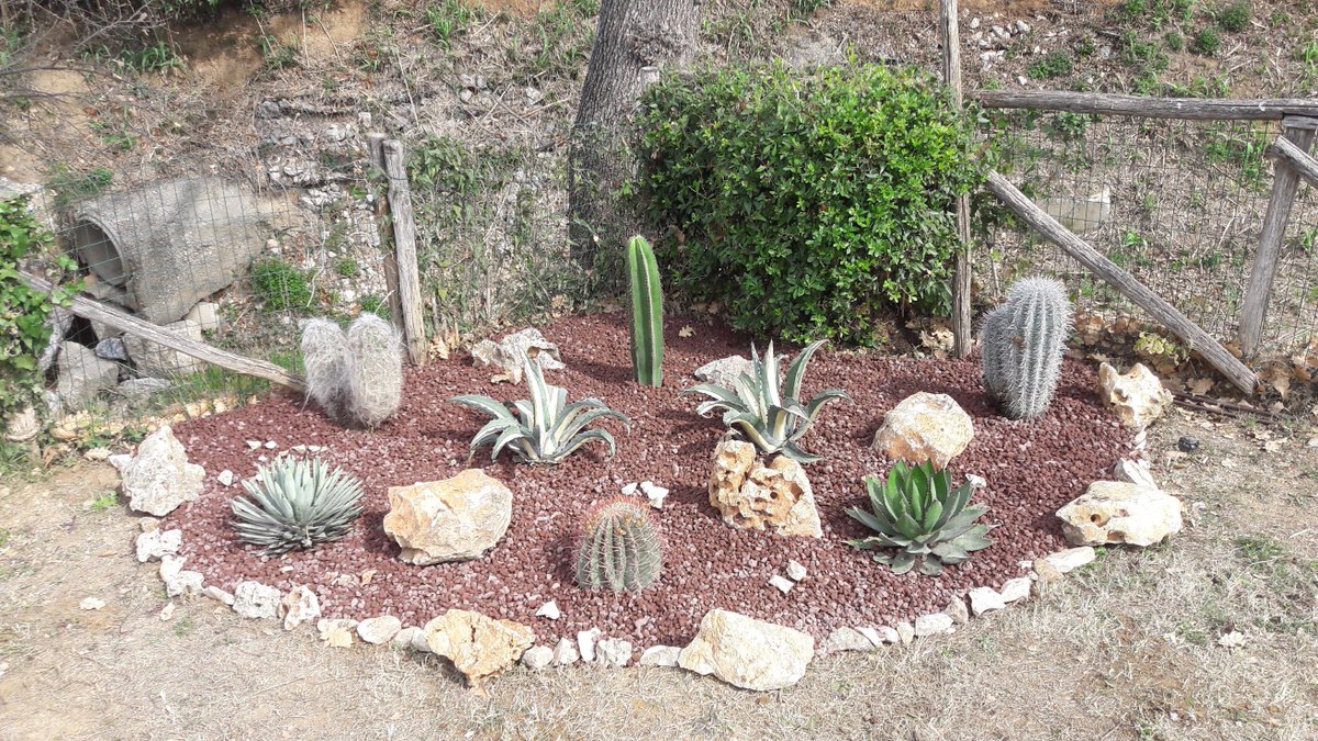 Giardini Mgf Pistoia Twitterissa Aiuola Di Piante Grasse E Agave Al Residence Santa Costanza Di San Vincenzo Li Giardino Giardinaggio Cactus T Co Lafyzrw5kl