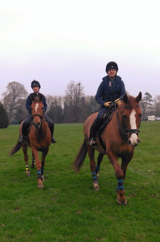SupremeEquine's tweet photo. Becky &amp; Badger will go @BEventing  with a little help @JontyEventing https://t.co/0S727SILx6