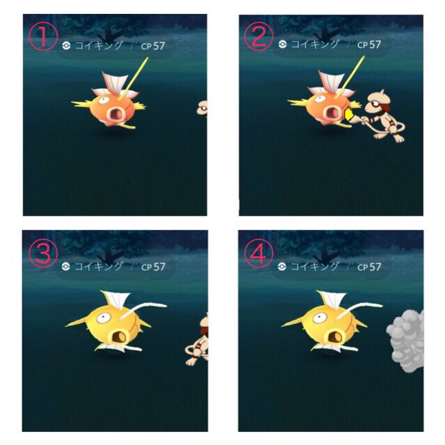 makinamirias's tweet photo. 『リアスは見た！』
色違いの犯人はこいつだ！？ 
 #pokemon   #ポケモン #ポケモンGO大会  #コイキング #ドーブル #金色 https://t.co/pxIZnXj3VZ