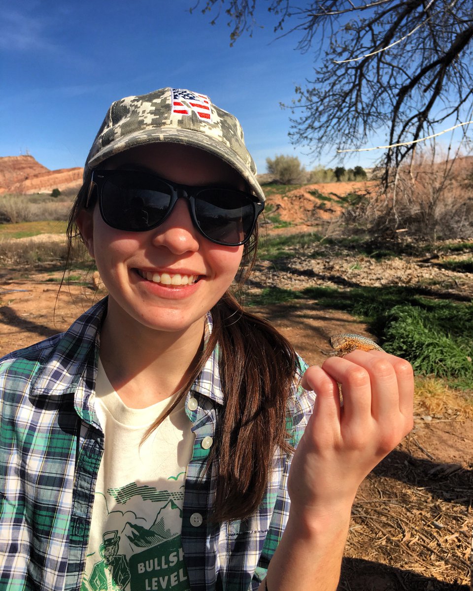 emilyevirgin's tweet photo. I'm an #actuallivingscientist studying the effects of urbanization on physiology and reproduction in lizards #ecophysiology #maternaleffects https://t.co/oaSdy4GgXX