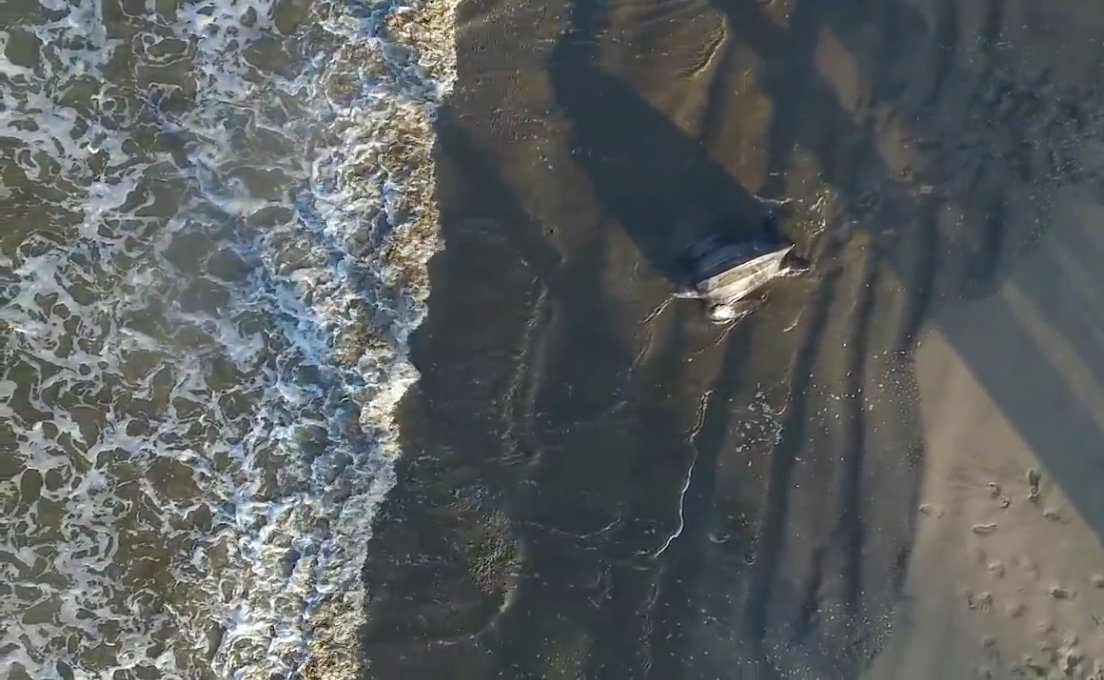 WildAid's tweet image. Drone Captures Endangered Leatherback #SeaTurtle Returning to Ocean, Swimming Away @NatGeo @leatherback voices.nationalgeographic.com/2017/03/22/dro…