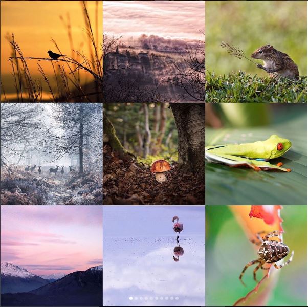 Suite des coups de cœur du #concours Talents GP 2017, sur le thème #nature ! 🐯🌺🦉
Pour participer, par ici ➡️ instagram.com/grainedephotog… #earth