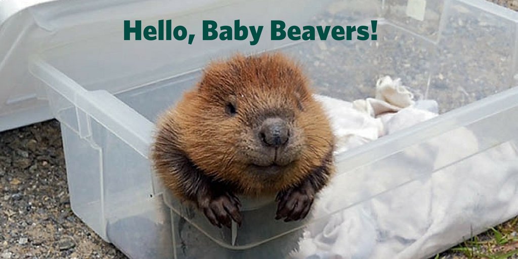 BemidjiState's tweet photo. To the class of 2021, registering today we welcome you! #BemidjiState #bestdecisionever https://t.co/GFbeFmRrDX