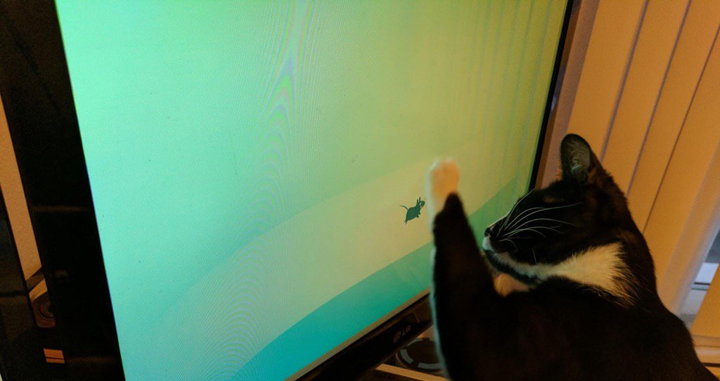 こんな具合らしいw