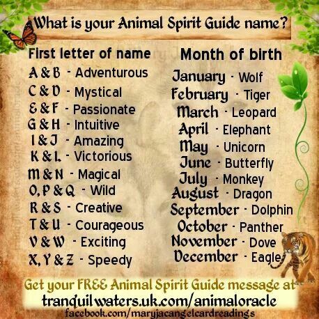 ManifestingMojo's tweet photo. what is your spirit animal - Google Search https://t.co/vH3HtcjrxP: https://t.co/539vaMyFj1