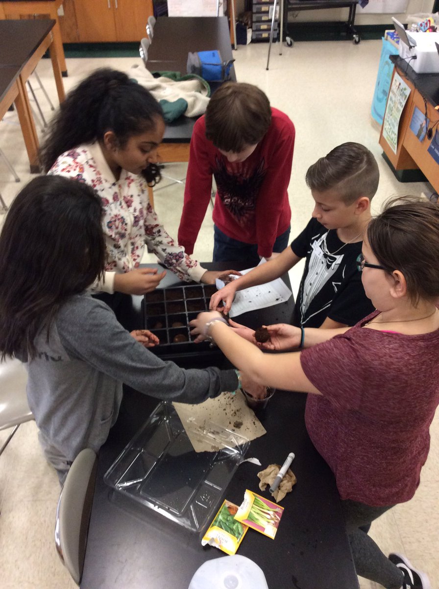 Mrs.  Yockey tweet media