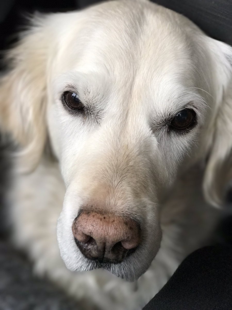 Seriöst kolla, helt oredigerad😭😍