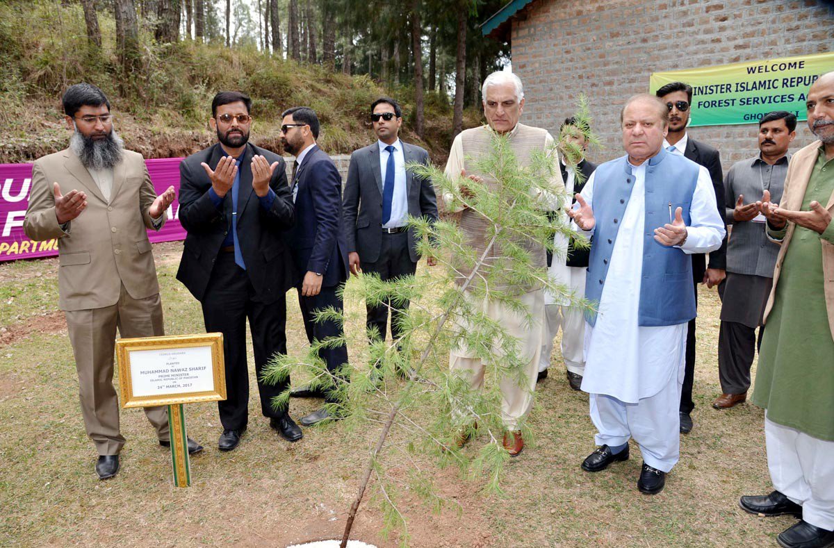dailytimespak's tweet image. PM Nawaz offering dua after planting tree in newly established Forest Service Academy at Gora Gali

#development #Murree #Pakistan