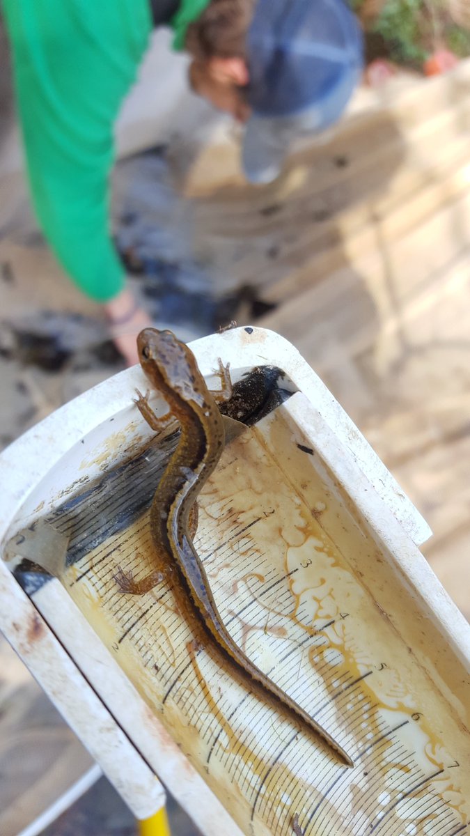 Zach Martin tweet media