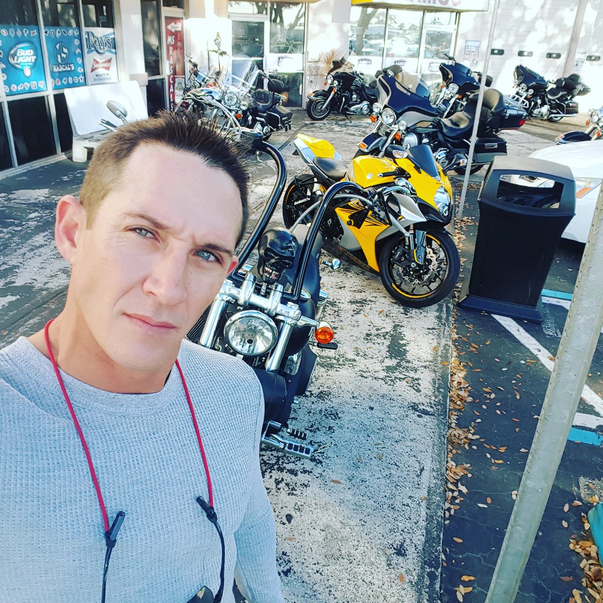 PaulGriste's tweet photo. I'm a lone wolf https://t.co/AOCN49zDEE
