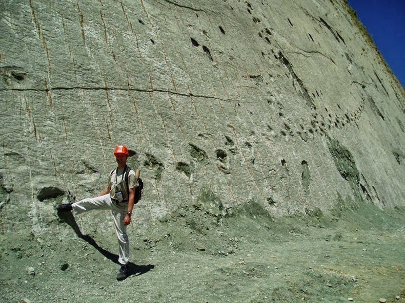 CBtrending's tweet photo. Check out this real life Jurassic Park setting in Bolivia, complete with dinosaur tracks https://t.co/M7TTFuG29P https://t.co/PJnQa4rrHn