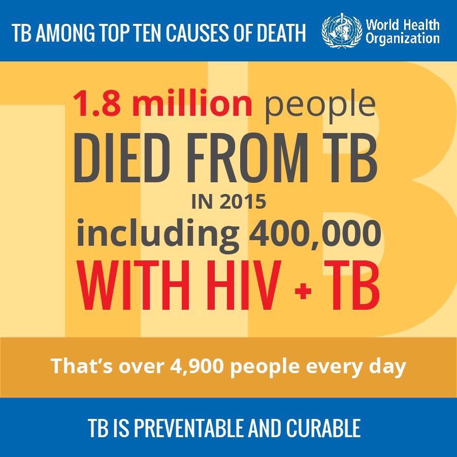 World Health Organization (WHO) tweet media