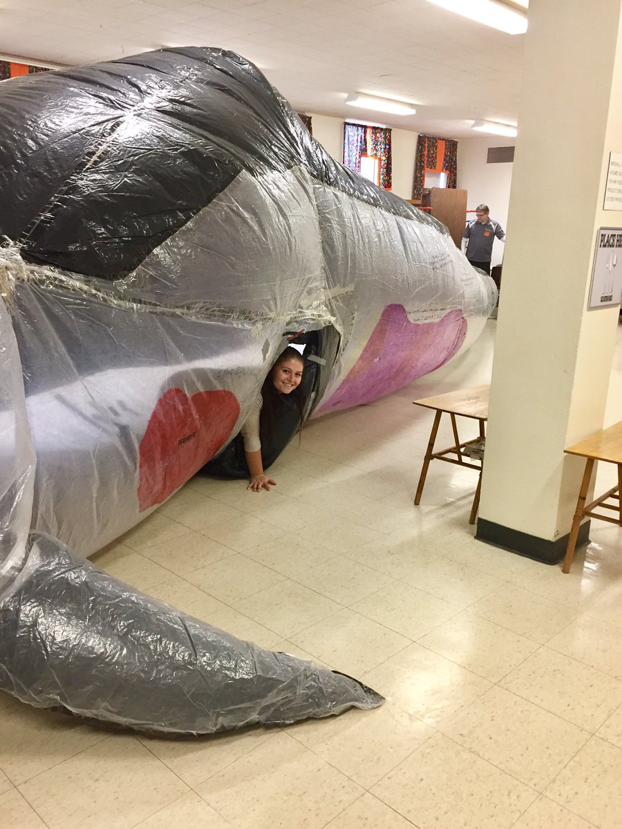 SMSUSchoolofEd's tweet photo. Whoa...there's a beached whale at West Side Elementary in Marshall, MN 😉🐳 #smsu #clinicals #lorenrocks https://t.co/H8fb71P7Ur