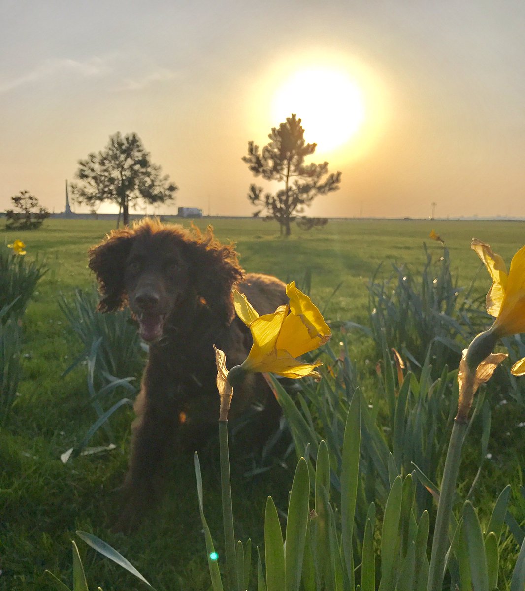 Sarah_JWare's tweet photo. #springtime is the best season by far. https://t.co/Xf84DIhpQG