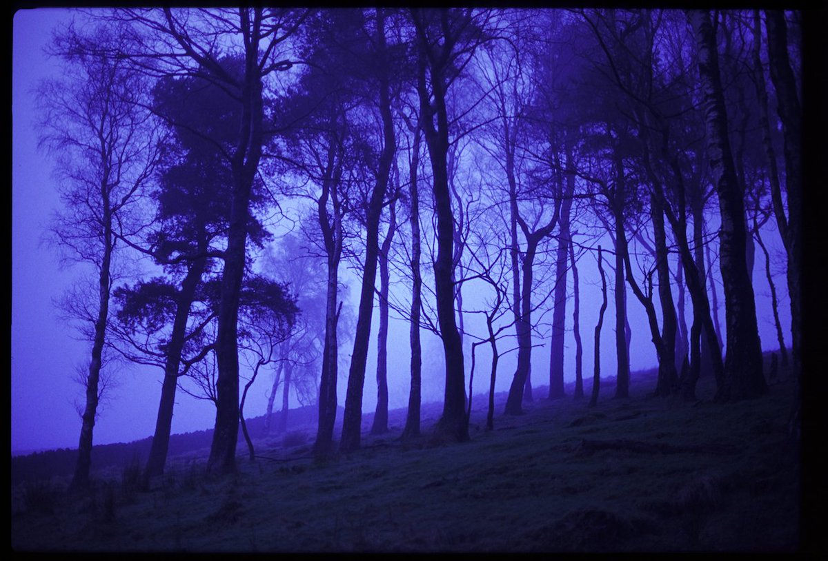 Finally, finally making new film work. This is work in progress, from the series Peak. Thanks @AlBrydonPhoto for getting me out the house.