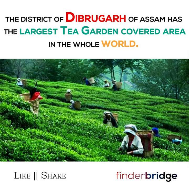 finderbridge's tweet photo. #Dibrugarh #Assam #TeaCity #EnergyCity of India #ExploreTheUnexplore #Finderbridge  it is. https://t.co/bSgukFWpd8