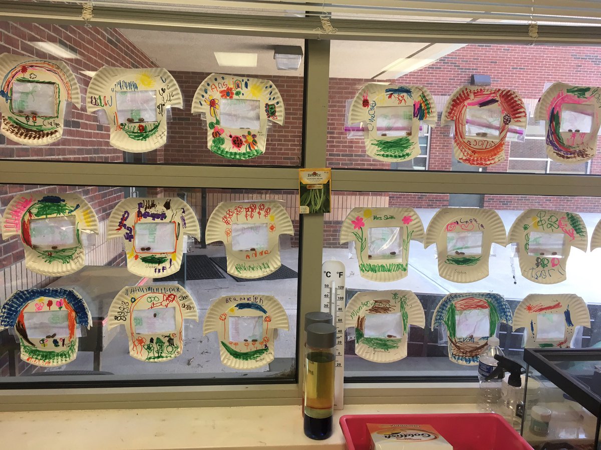 SherrillLynnSmi's tweet photo. @FHES_TWEET Mrs Smith's PreK made paper plate greenhouses today for their seeds. https://t.co/RnFbFRARCT
