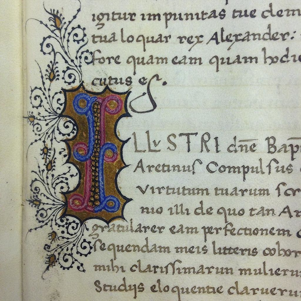 dianebiunno's tweet image. @griptheraven @pacscl More #illuminatedinitials #bibliophilly Lewis E 71 40r @freelibraryr… ift.tt/2mA9Yw7