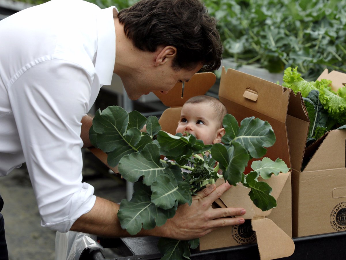 JustinTrudeau's tweet photo. .@LufaFarms grows veggies (&amp; other little ones) on Montreal rooftops all year. #Budget2017 helps more companies like this innovate &amp; thrive. https://t.co/XRKSk4xkJi