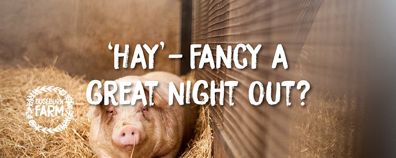 OuseburnFarm's tweet photo. Join us for a very special night at @StandComedyClub and help #SupportOurFarm. https://t.co/tI1tJTekMs https://t.co/MQwICvquMe