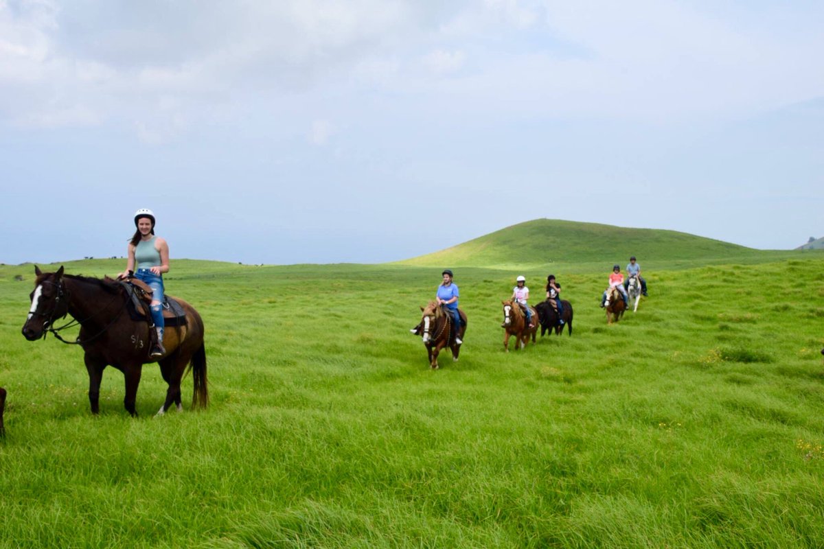 Leilani85's tweet photo. Riding on the beautiful 11,000 acre Ponoholo Ranch on Kohala Mountain. #hawaii #thebigisland #intersession2017 #day5 https://t.co/2lScmGwD2J