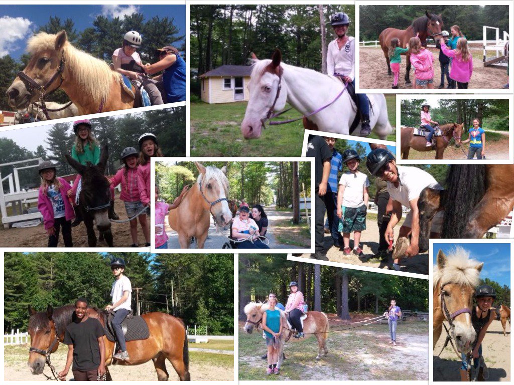 OceanwoodCC's tweet photo. Developing heroes - one horse at a time!  @mainesummercamps, #owood17 https://t.co/W4w0ByXEdZ