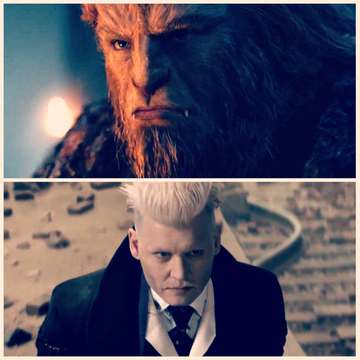 239AlexDavis's tweet image. Need some help deciding what cosplay I want to do next. #grindelwald #beast