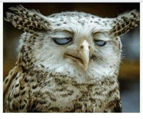 kip_meshack's tweet photo. #TTTT #HeyLarry  Nikitaka kulala but Lira ako the Trend https://t.co/hLUFwlehOE