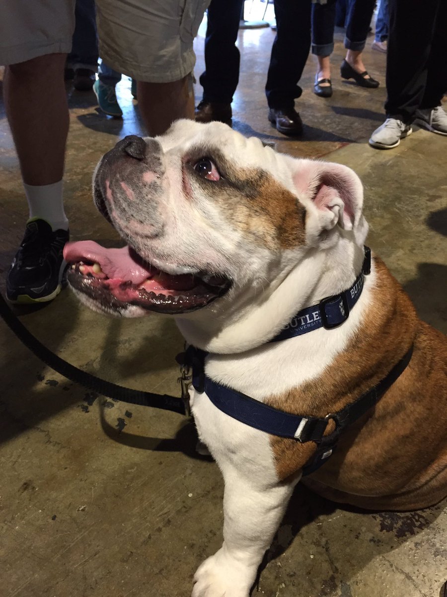 TNJohnDunn's tweet photo. .@ButlerBlue3 is ready to bite a Heel...more specifically, a #tarheel. #GoDawgs #wearestillhere https://t.co/X4lBlVBs55