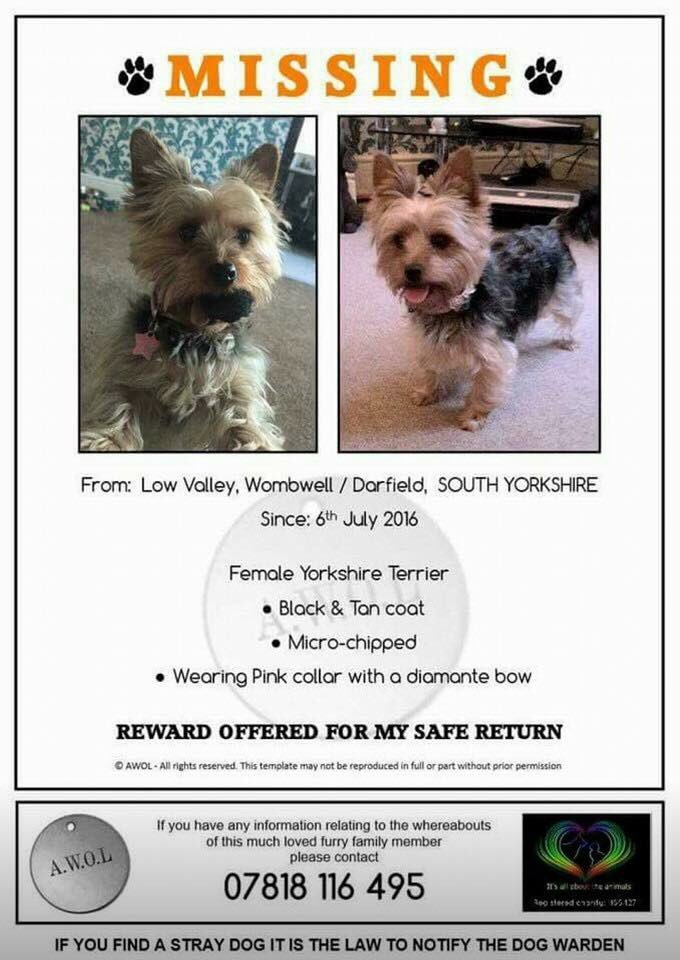 LisaLisaw1's tweet photo. Please join us 8th April #FindRubyDay #TweetStorm #FindRuby #HelpFindRuby #LowValley #Wombwell #Darfield #SouthYorkshire 06.07.16 https://t.co/ElYIn4Kvpc