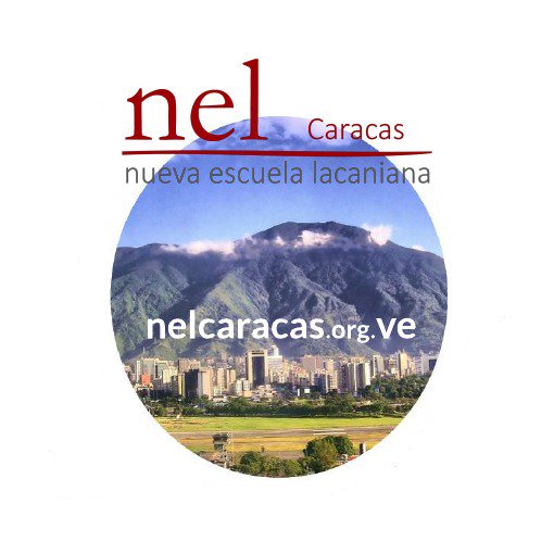 NelcfCaracas's tweet photo. @AMPActu ¡La NEL Caracas a un nouveau site sur le web!¡Visitez-nous à https://t.co/9GTTVJMtJc ! https://t.co/JpwjwX2d1B