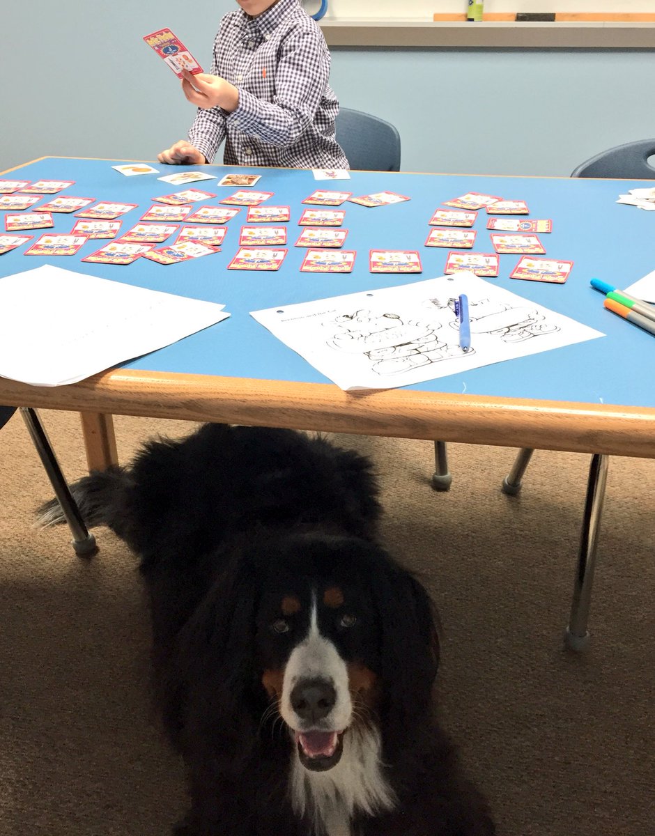 AdventureOlli's tweet photo. Olli Girl is a speech-language PUP-thologist!!!  She loves that therapy dog life!  Friday=Funday https://t.co/6TN3ZLcw2W