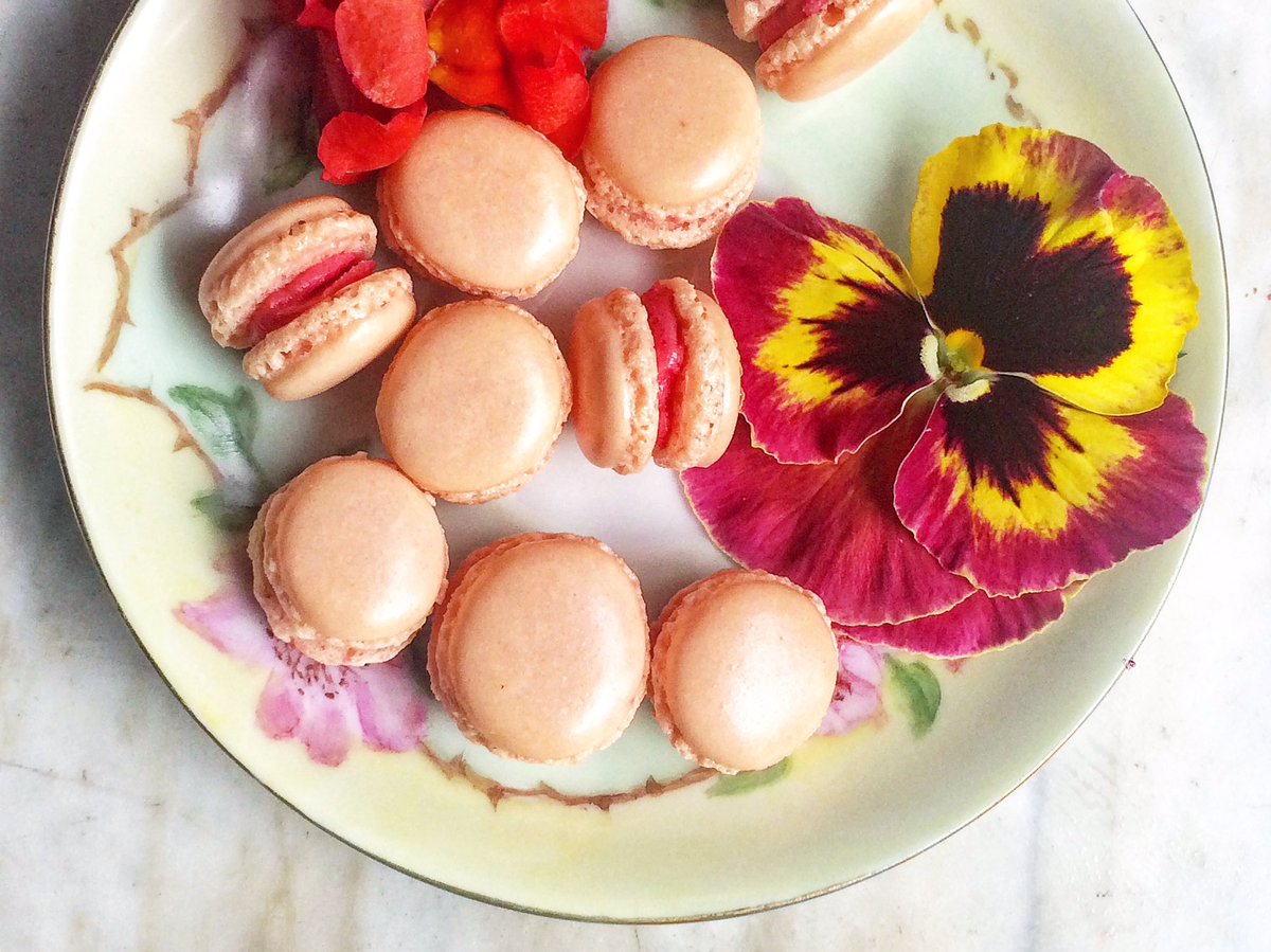 Little Bird Bistro tweet media