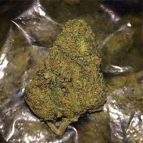 VigoneK's tweet photo. Weeds is good. https://t.co/0pUEjGMxnv