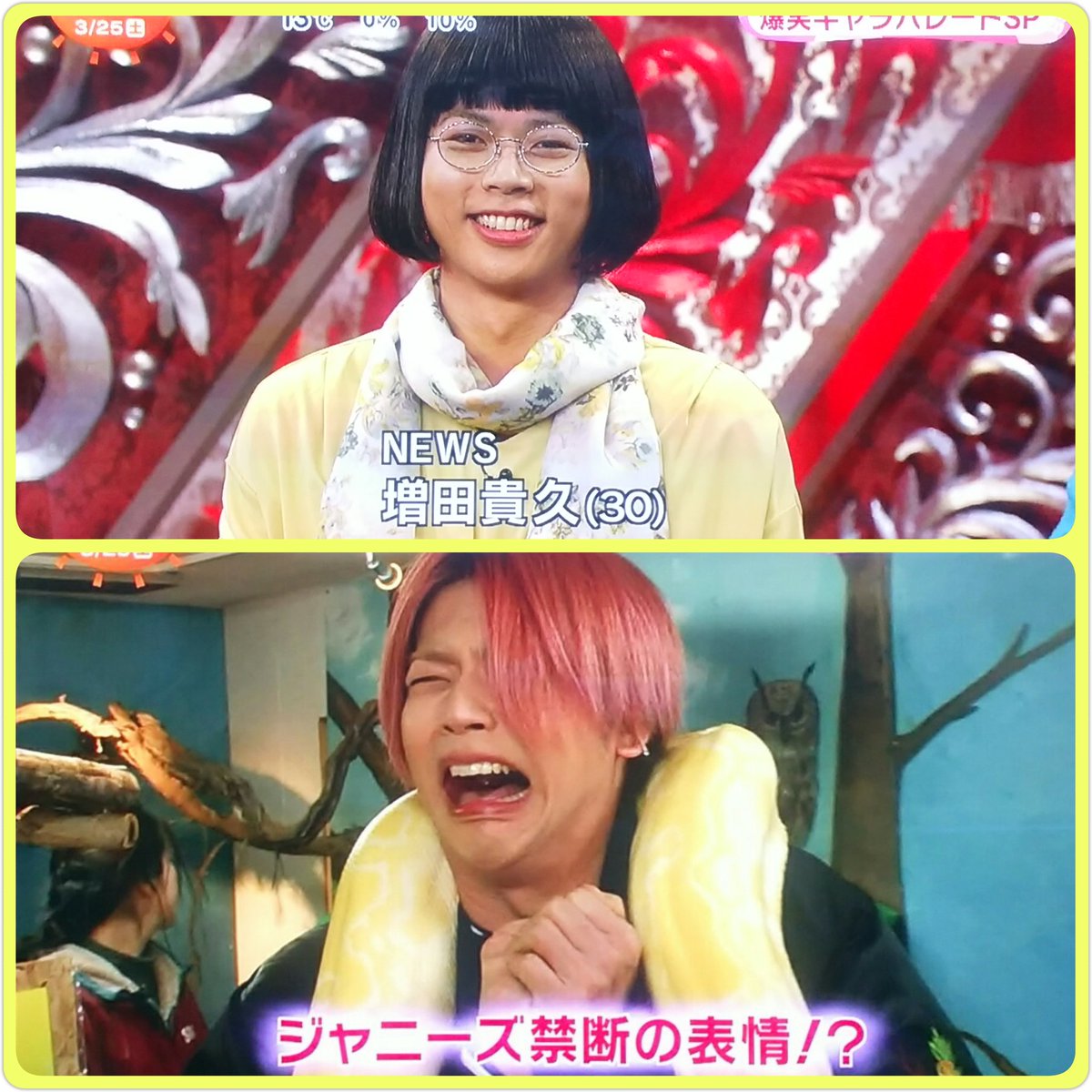 Twitter पर まりん 超ハマる 爆笑キャラパレードsp 阿佐ヶ谷姉妹とコラボ 柴田さんと動物園のまっすー 楽しみ 爆笑キャラパレード News 増田貴久