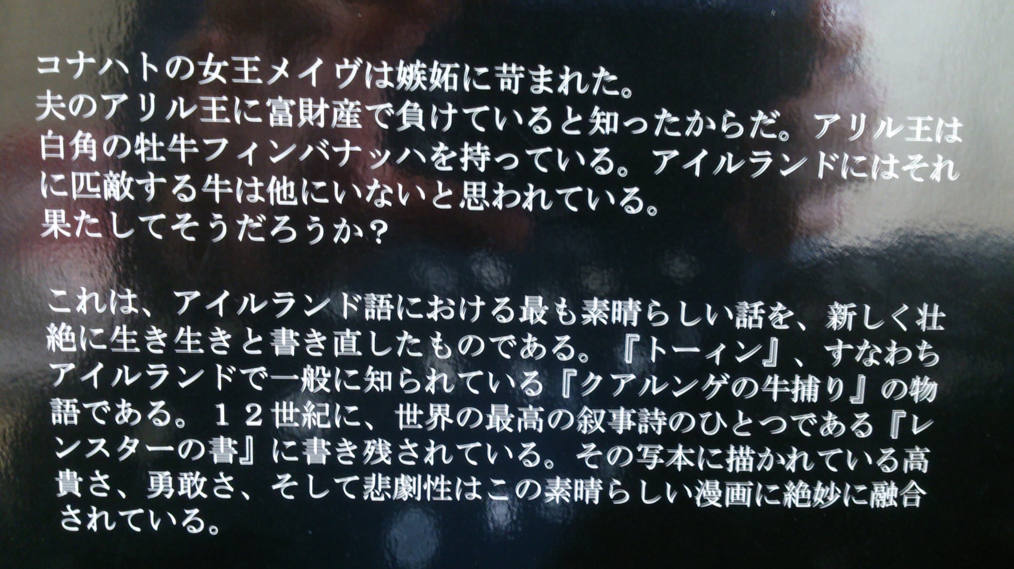佐月 ケルト神話勉強中 クー フーリンはじめ ケルト神話のアルスター神話群ファンが増えてるっぽいこのタイミングで紹介 クー フーリン伝説概要が一番まとまっている小説はサトクリフ著 炎の戦士クーフリン ですが もっと手っ取り早くざっくり知り
