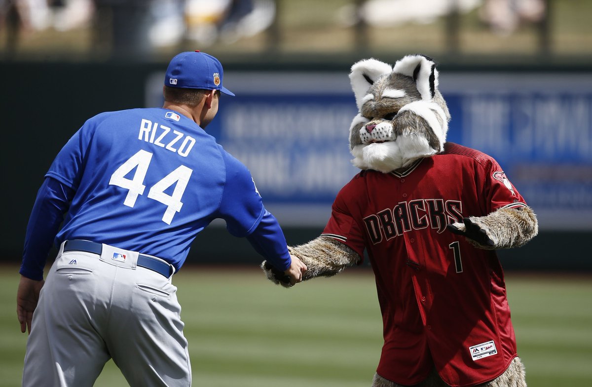 Cut4's tweet photo. Bryzzo won't be breaking up for @DbacksBaxter anytime soon. #SpringTraining https://t.co/uNVif7Bwsj