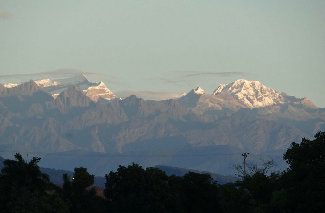 BoyacaBIO's tweet photo. Hallar #briofitos a alturas extremas y creciendo sobre roca, entre morrena y nieve, hace q el hallazgo sea realmente interesante ❄🏔 #EcoDato https://t.co/Bg1a51PimM