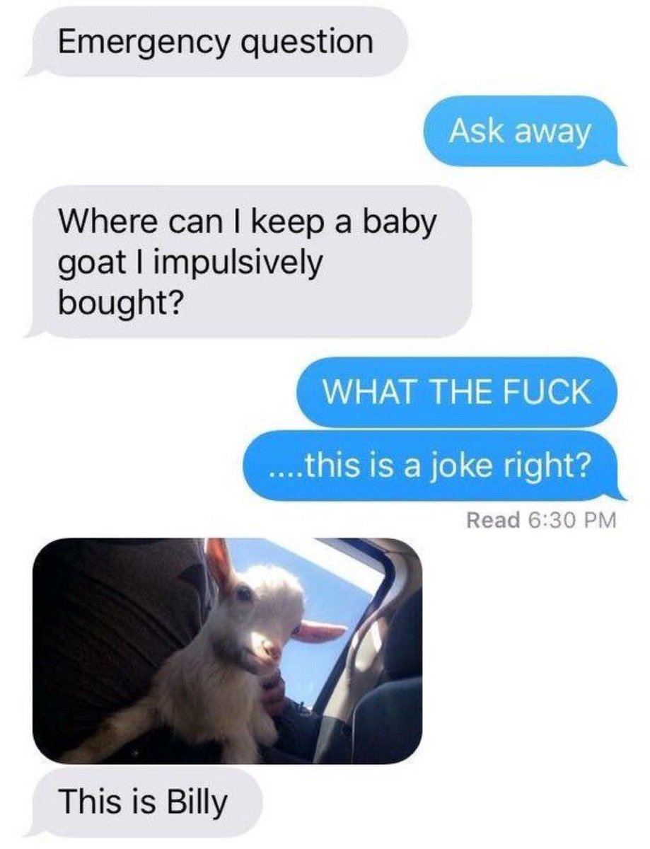 ColtonMatsushit's tweet photo. me as a girlfriend https://t.co/XLBSFCIRlK
