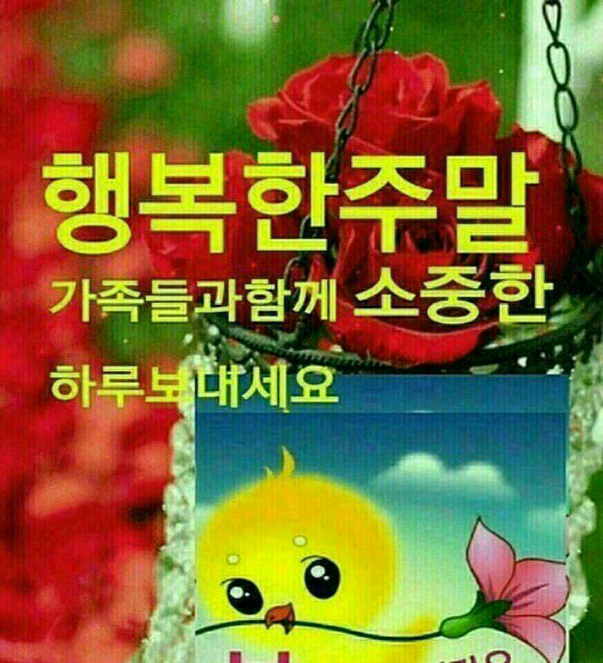 zero0ne3 good morning 좋은아침 나에게 휴식을 주는 행복하고 편안한 주말 되세요