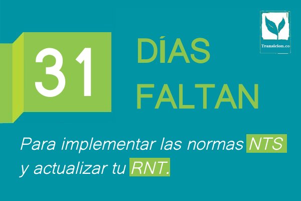 Transicion_co's tweet photo. Implementa las #NTS y actualizatu #RNT.

Contáctenos > https://t.co/rDLjn4UMAH https://t.co/C9CWIOjIch