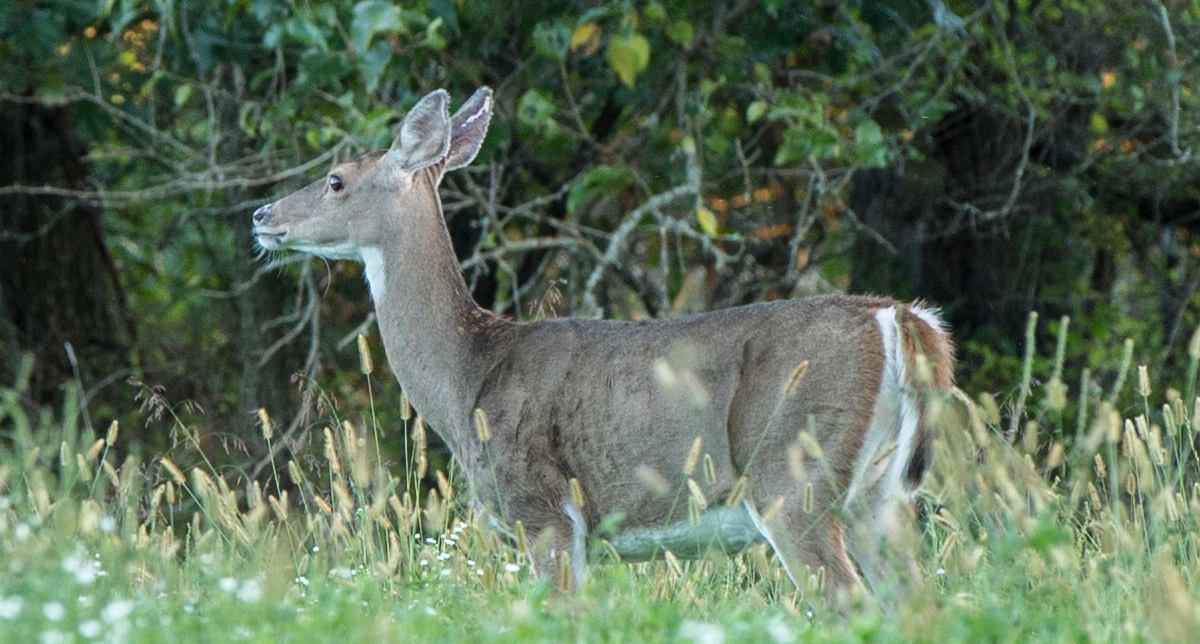 Retweet if you would fill the freezer here! #Thwack